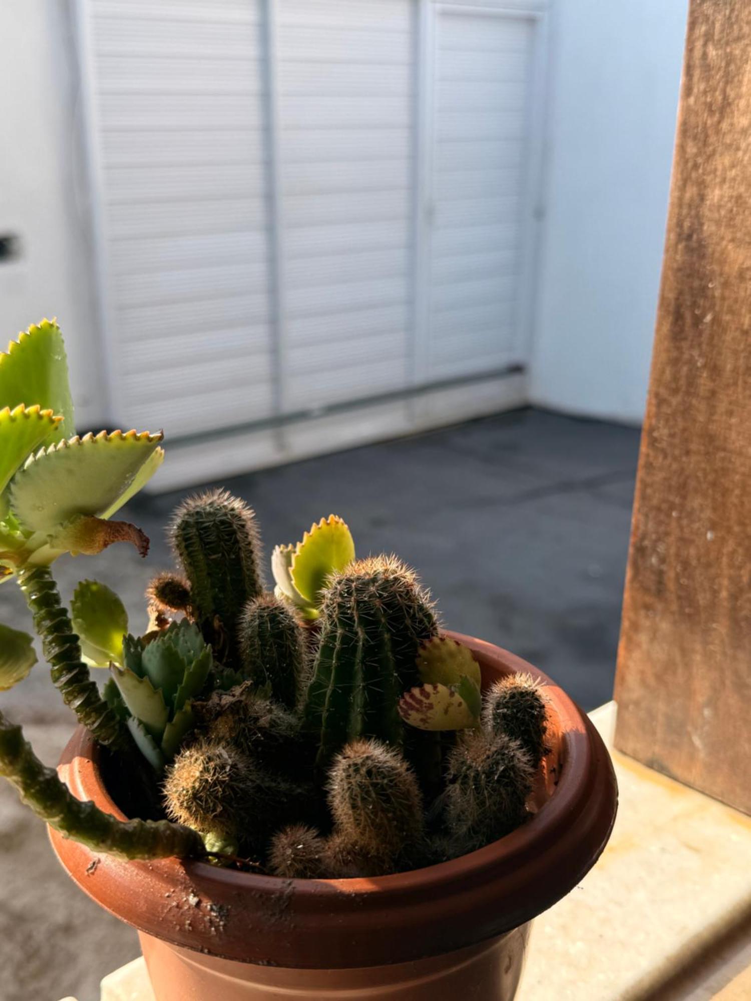 Casa Loft Mob 2 Suítes Próx Arena Castelão * Fortaleza (Ceara)